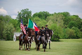 polo_cup001