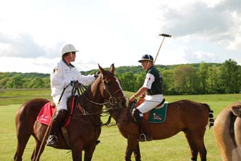 polo_cup118