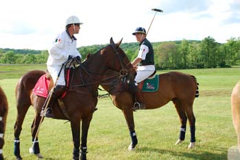 polo_cup119