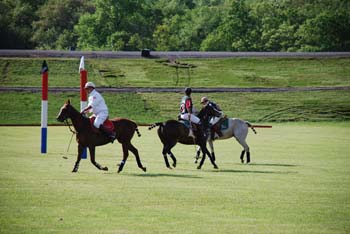 polo_cup126