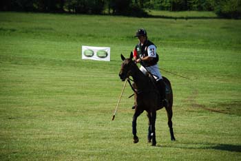 polo_cup141