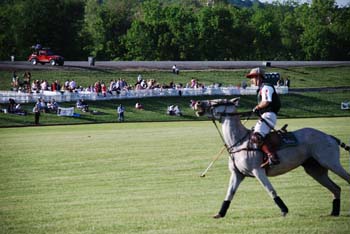 polo_cup158