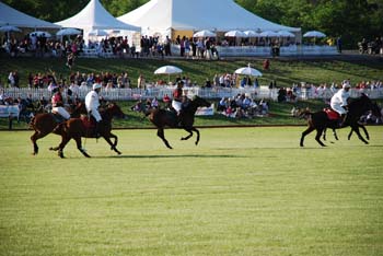 polo_cup168