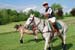 polo_cup092