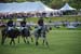 polo_cup132