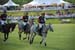 polo_cup133