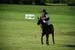 polo_cup141