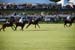 polo_cup167